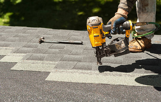 Best Roof Gutter Cleaning  in Black River Falls, WI